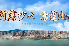 常德市自来水有限责任公司：《清廉抄收 雷霆出击》视频封面