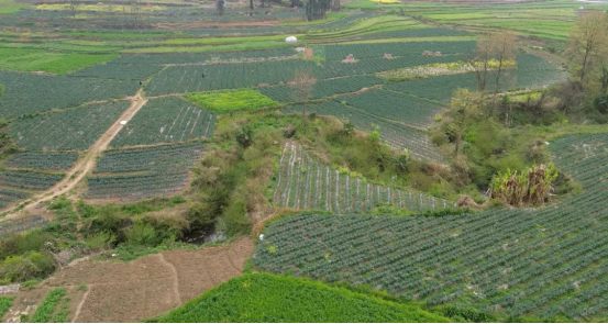 【乡愁印迹·村史村事】文旅篇 | 喀斯特秘境里的宝藏村落 雨核村的文旅新打开方式​