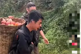 “弟弟辍学卖苹果供北大哥哥读书”视频系摆拍卖惨带货，警方：涉事博主被处罚图片
