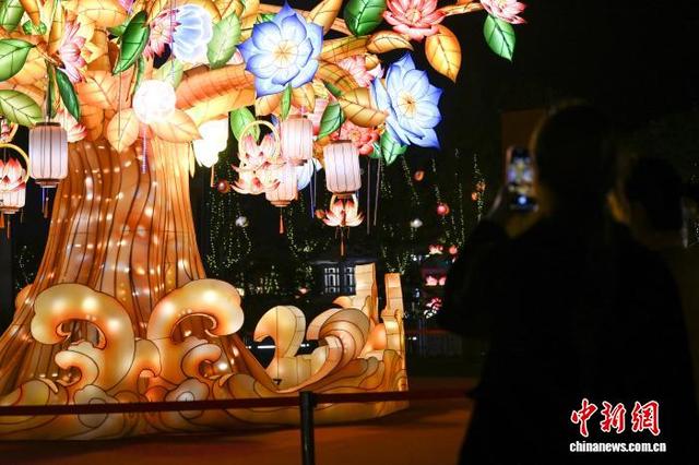 浙江宁波近千彩灯点亮 璀璨灯会吸引游人