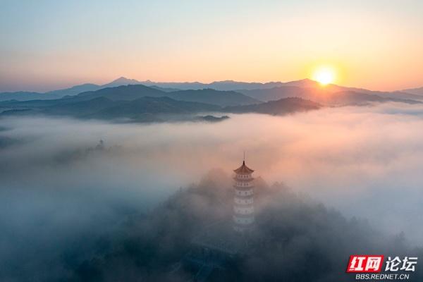 千年苗乡遇现代脉络：靖州晨雾里，文峰塔与高速共嵌云海
