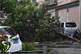 “蝴蝶”残余环流继续影响江南中东部等地！内蒙古东南部有强降雨！图片