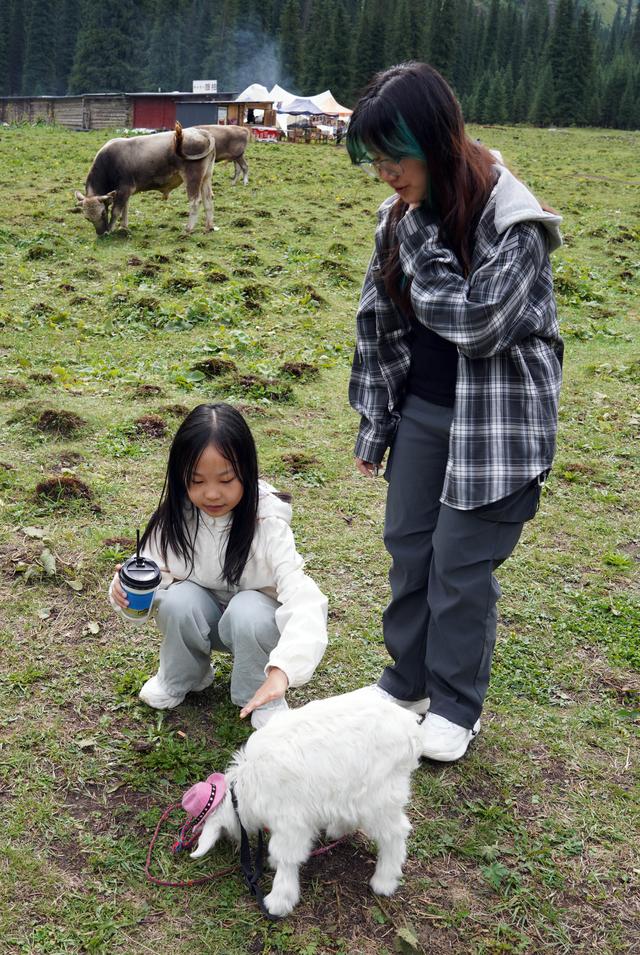新疆伊犁：暑期旅游人气旺