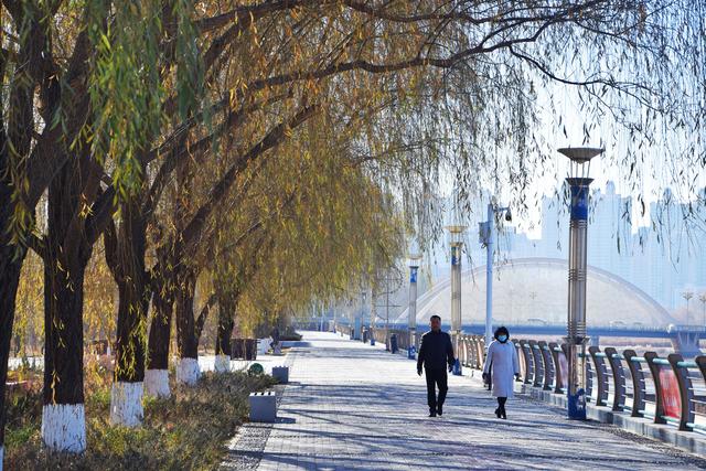 组图 | 凉州冬韵：霜凝湖光 苇摇清柔