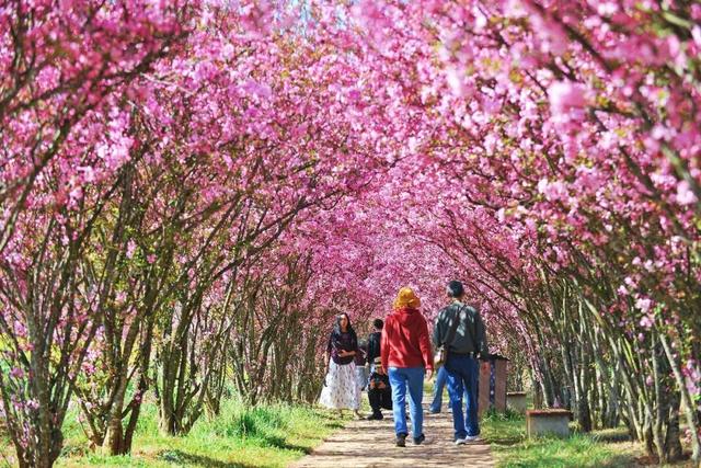 3月7日至8日，女性游客免门票游乃古石林风景区