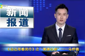 《沿江河看闵行》之“黄浦江畔”——马桥镇视频封面