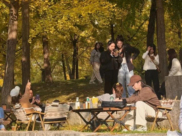 落叶缓扫，在曲江邂逅一场初冬浪漫！