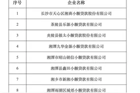 地方小贷加速出清！开年多地公告涉及清退超20家图片