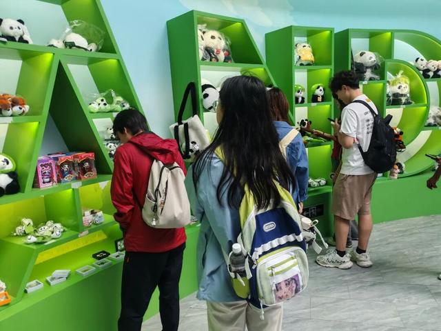 国庆中秋假期 华蓥山大熊猫苑持续火爆