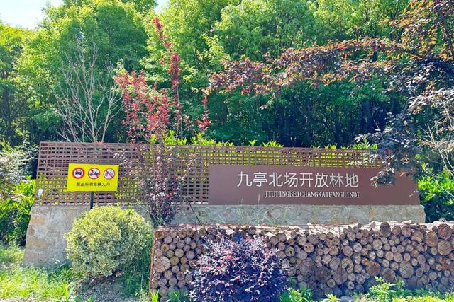 漫步九亭，初秋必逛这10处小众绿地，人少免费还出片！