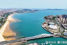 青岛西海岸新区顶格优化提升营商环境，打造全国营商环境标杆城市图片