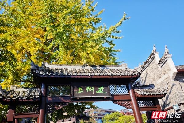 岁暖时刻丨沱江畔秋末初冬的缱绻时光