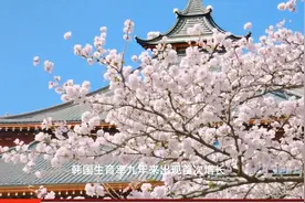 韩国统计厅：2024年生育率出现9年来首次同比回升