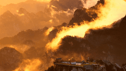 滴！重阳暖心免票福利→这张秋日『头等舱』车票请签收！