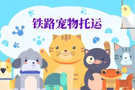 想带萌宠回家过年？铁路托运了解一下图片