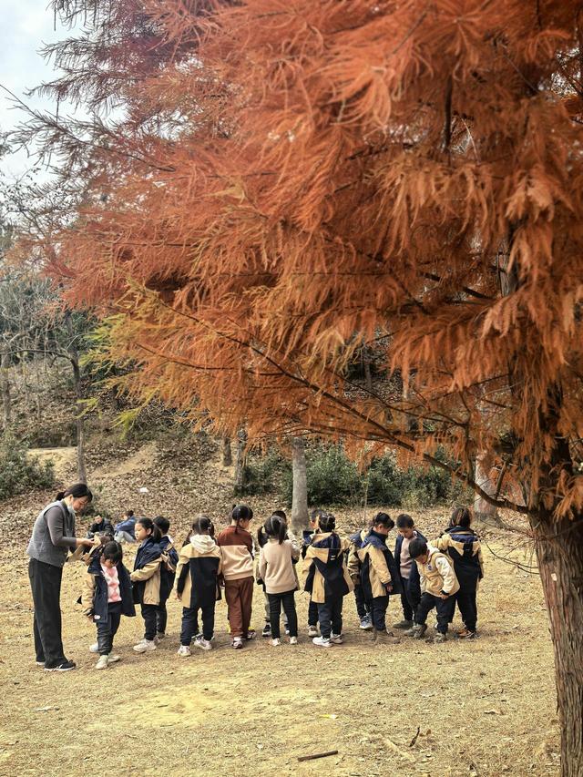 晚潮｜长乐初冬暖融融