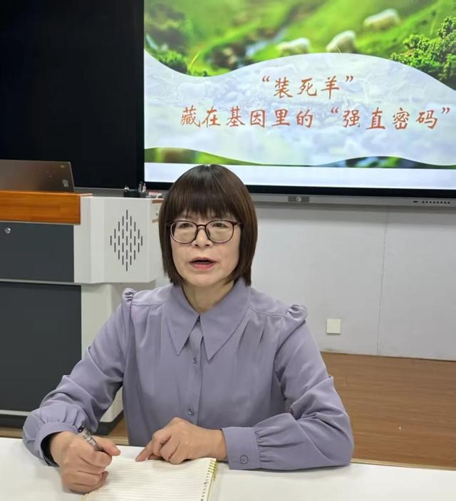 “装死	”小羊身价飙至30万，专家：“装死”非“演技”在线，系因遗传缺陷	，可以人工繁殖更多只