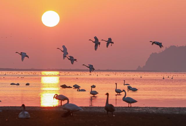 心动吗？这些冬日美景错过了就要再等一年！