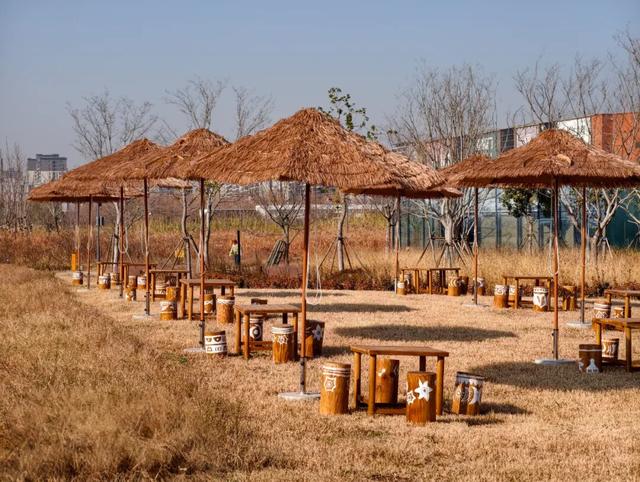 开放预约！大河村国家考古遗址公园即将开园