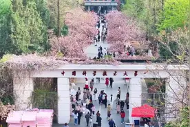 中国科学技术大学2025年强基计划招生简章图片