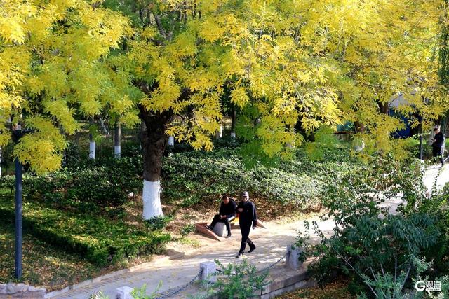 秋日海泊河公园：不必远寻，这里就有“推窗见绿、出门入园”休闲生活