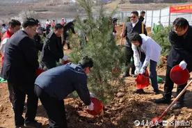 党旗辉映青山绿！济南市市直机关开展义务植树志愿服务活动图片