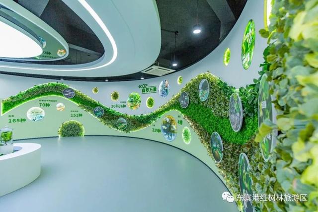 东寨港红树林研学进行时，自然课堂里的欢乐时光～