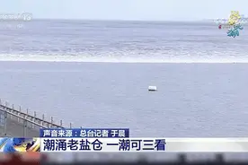 超震撼！钱塘江大潮的气势强到快溢出屏幕了！图片