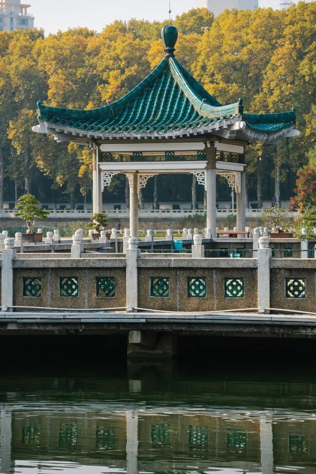 东湖秋日图鉴②｜邂逅听涛，定格秋的独家记忆