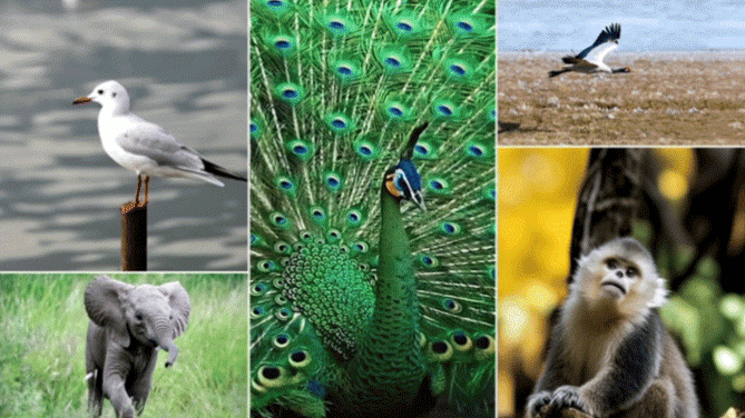 中国“旅居”天花板，为什么还得是云南？