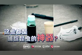 未来之城 | 这些都是捕捉昆虫的神器？图片