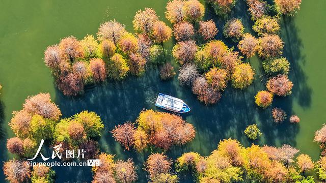广西南宁：花花大世界景区冬景如画醉游人