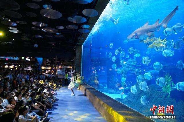 云南昆明：畅游海洋世界享快乐暑假