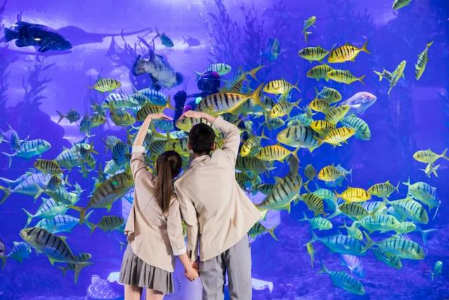 ¥99的快乐又来啦！跨年早享价，全新“玩梗派对”欢乐来袭