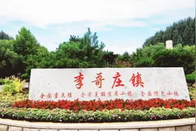 胶州市李哥庄镇获评青岛共同富裕先行先试特色乡镇图片