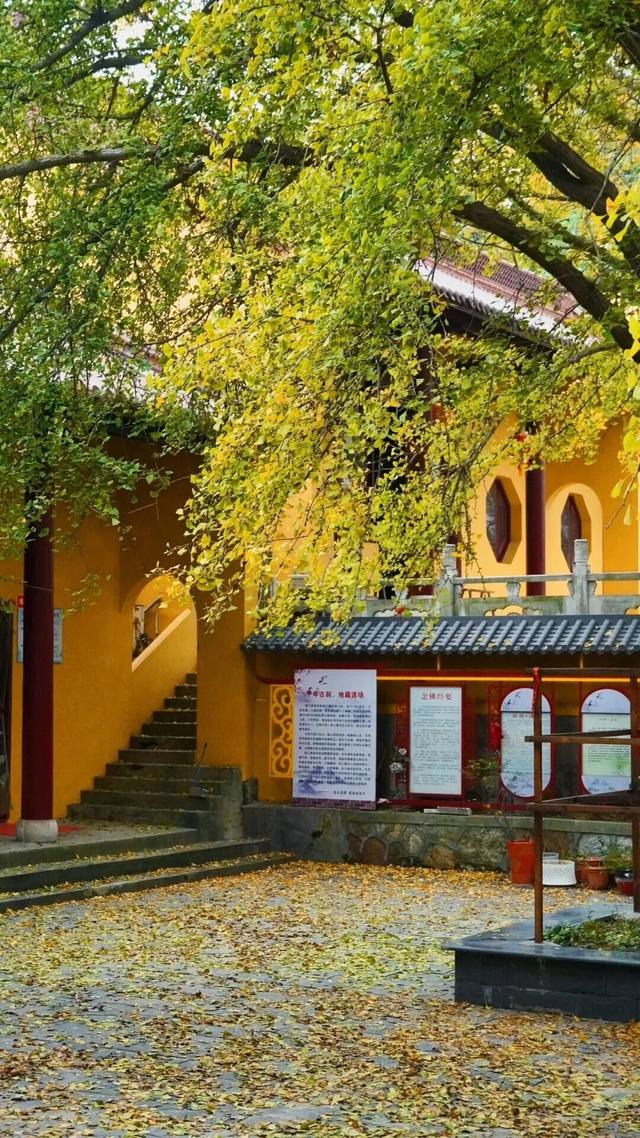 秋日限定“双骄”：从赏到玩转的完整攻略！