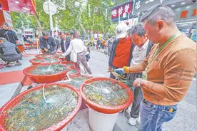 节后螃蟹身价落 块头越大降越多 5元一只！错峰吃蟹更实惠图片