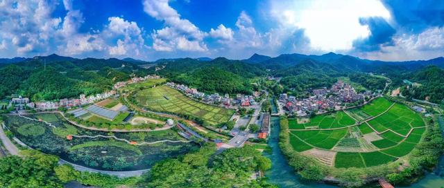 广州唯一！花都民宿获“全国甲级”