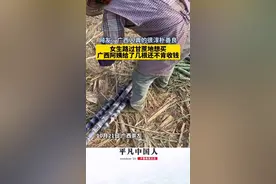 女生路过甘蔗地想买，广西阿姨给了几根还不肯收钱！网友：广西人真的很淳朴善良图片