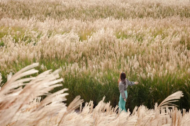 接下来的日照，是这样的！