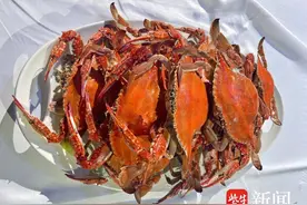 【地方美食】连云港“赣榆名小吃”——海鲜面图片