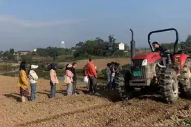 玉米播种机“水土不服” 四川岳池破解乡村人才匮乏 引来的博士科研团队小试牛刀图片