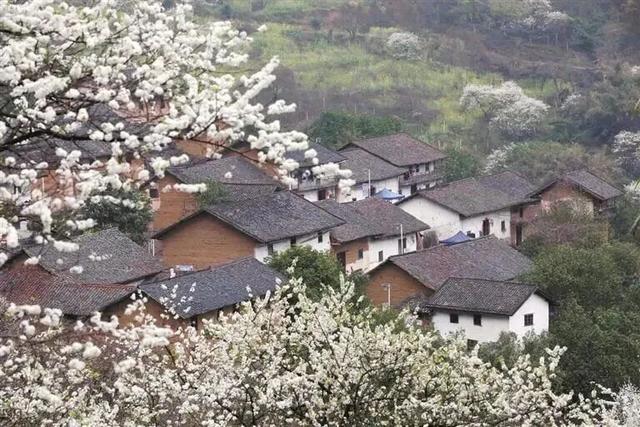 邀您打卡东起乡 解锁秋日限定山水画卷