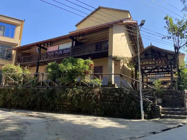 一口金桔甜，解锁融安初冬的N种玩法