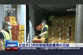 中国东盟贸易“果香”四溢 中国消费者乐享“榴莲自由”图片