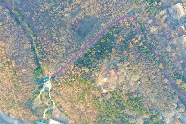 海风开道，秋色伴跑！威海喊你“动起来”~