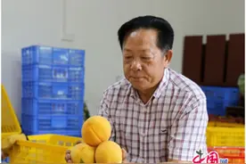 退役军人成秋谷：当代“愚公”打造千亩“致富林”图片
