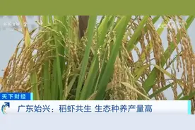 稻熟虾肥、果园飘香，金秋时节各地“硕果累累”迎来好“丰”光图片