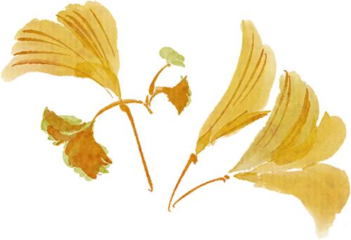 北京冻冻冻冻	，BNUer动动动动！