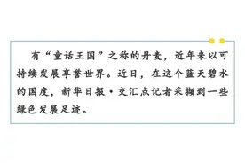 绿色丹麦见闻③｜垃圾焚烧厂竟然能这么玩？好创意让可持续发展理念更有吸引力图片